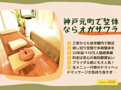 整体オガサワラの写真