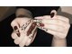 ティーナインワンネイル 名古屋太閤通店(T.91Nails)の写真