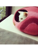 アイアロファ(i Arofa) 森田 佳奈美