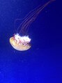 エラン(elan) 水族館や美術館、綺麗なものが大好き!