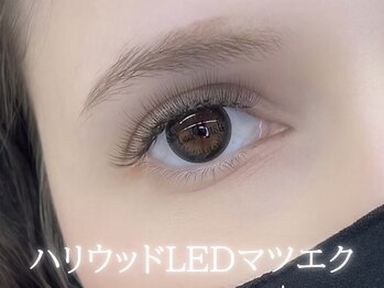 クイックアイズ セルフメイド 泉大津店(Quick Eyes SELFMADE)/ハリウッドLED 6D &nbsp;240本