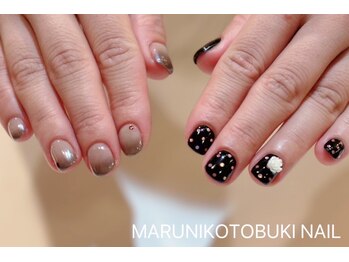 マルニ コトブキ(MARUNI KOTOBUKI)/ベーシックコース