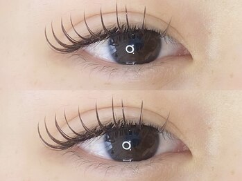 エルドット 八尾店(L.)/フラットラッシュ180本