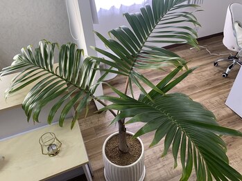 ロミロミモアナ(lomilomi moana)/