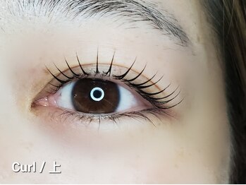 ハレル(HALELU)/まつげパーマ (上) ¥4,400