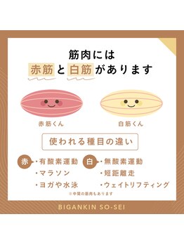 ジェルブラローズ(gerbera rose)/テラボーラーとは？