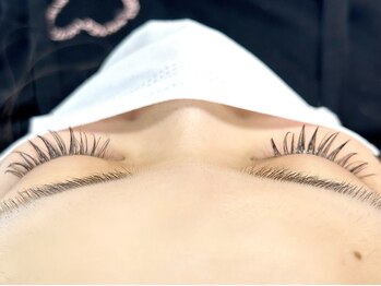 フェリーズ(Feliz)/上から♪