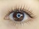 バニーアイズ 銀座店(Bunny eyes GINZA)の写真/トレンド感◎大注目フラットラッシュのブラウン系カラ-も有！目尻へのポイント使いやお好みでカラ-MIXも◎