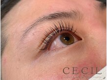 セシルビューティーラボ(CECIL beauty labo)/スーパーフラットラッシュ140本