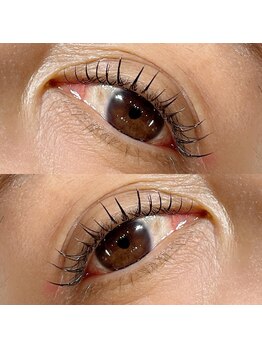 メロリッチ(MELLORICH)/フラットラッシュ