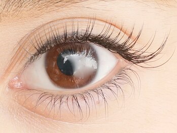 ドットイチイチマルイチ 銀座店(DOT1101)/120本