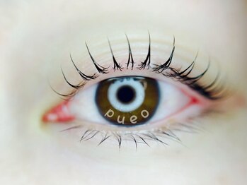 プエオ(pueo)の写真/マツエクのメニューは敢えて導入していません★まつげパーマのことならお任せください！[深谷市/マツパ]