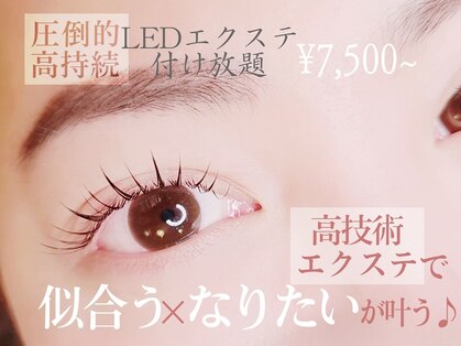 ヘアセットアンドアイラッシュ エル(Hairset & eyelash L)の写真