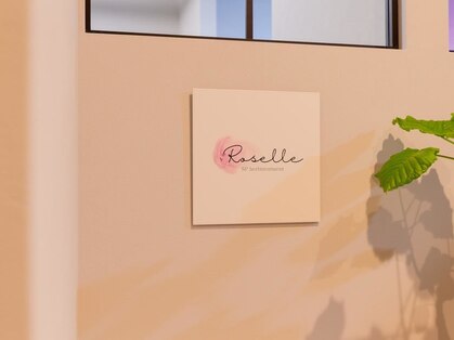 ローゼル(Roselle)の写真
