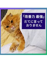 まぶ屋/圧倒的な改善力が結果を出します