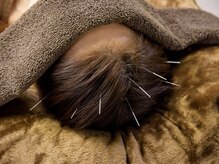 やぎおか堂/鍼灸