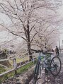 リヒト(Licht) 桜を見に行ってきました。