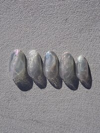 ハンド☆シンプルコース