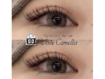 ホワイトカメリア 梅田茶屋町店(White Camellia)/マツエク/マツエクサロン