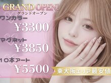 nail.S東花園店 ワンカラー/パラジェルネイル/マグネット/フィルイン/長さだし/フット