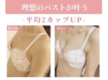 ラディス(Radice.)の雰囲気（バストアップなら当サロンにお任せください♪名古屋/千種区）