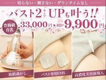 美人バスト 辻堂店