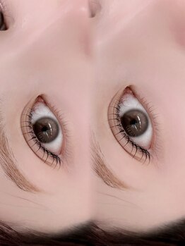 She's lash 渋谷店【パリジェンヌ/まつげパーマ/マツエク/眉毛/アイブロウ/パリエク】/ラッシュリフト