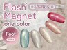 ★フット人気No.1★ フラッシュマグネットワンカラーネイル　￥10230→￥6600
