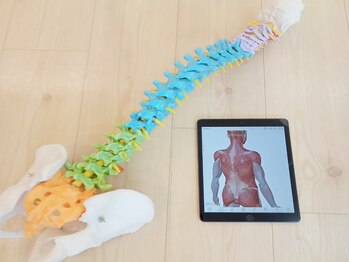 ゆう整骨院 西中島南方/分かりやすくご説明します