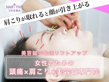 ハリティブ(HARITIVE)の写真