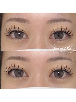 ヴィーナス(Venus)/フラットラッシュ120本