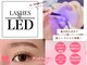 ミニョンヌ(mignonne)の写真