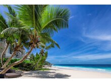 B.B藤沢 レオスタイル(LeoStyle)/青い空の木陰で