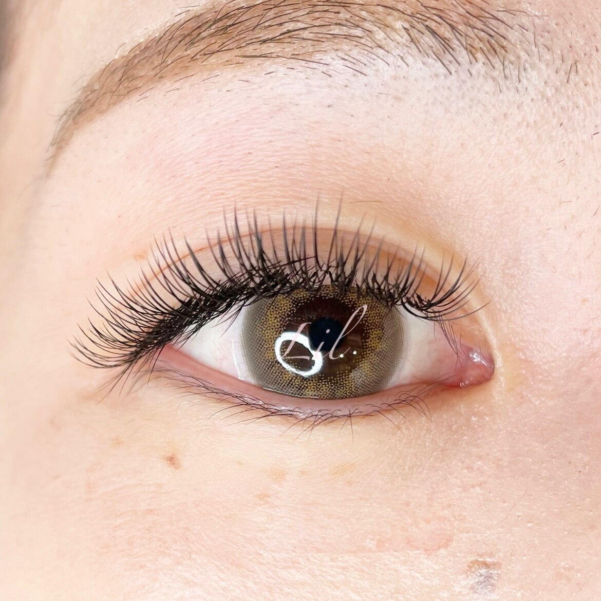 perfect lash 80束☆【\8250】※4週以内