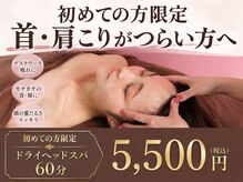 アルパカ(ALPAKA)