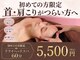 アルパカ(ALPAKA)の写真