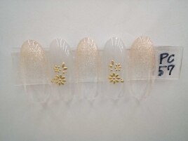 季節の定額5900円コ―ス