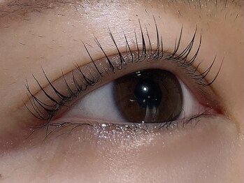 カラン 焼津店(CALIN)/ラスティングカール