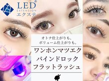 バニーラッシュ 津田沼店(Bunny Lash)