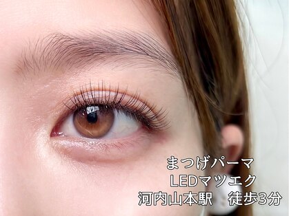 ポノ(pono)の写真