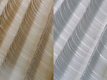 ミオティス(Myotis)