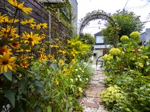 ローズリリーブ/夏のお庭