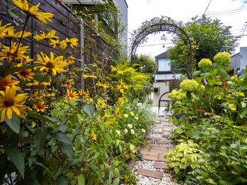 ローズリリーブ/夏のお庭