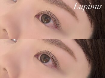 ルピナス 川口(Lupinus)の写真/目の形や自まつげの長さに合わせ、最適なデザインを提案◎「高濃度ケラチントリートメント導入サロン」