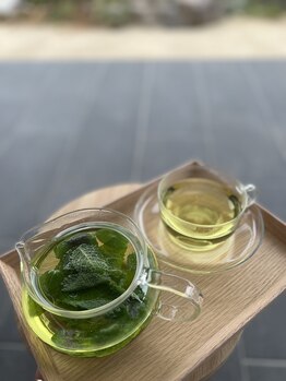 アシュリー(Ashley)/