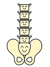 てんゆう整体/骨盤バランスの重要性