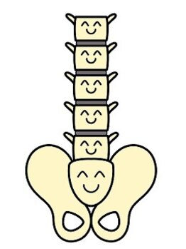 てんゆう整体/骨盤バランスの重要性