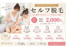 ビーブルーム(BeeBloom)