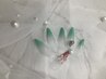 全員！【スカルプorジェル長さ出し10本＋グラデーション&パーツ2つ付き！】