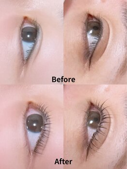 ロルズ(lol's.)の写真/「元から美人」を叶える。自まつげを活かしたパーマと繊細なエクステで、品格漂うナチュラルな目元へ。